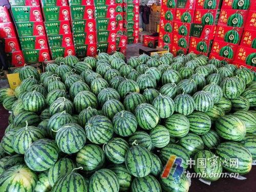 每日吃瓜大赛入口汇聚地  第2张